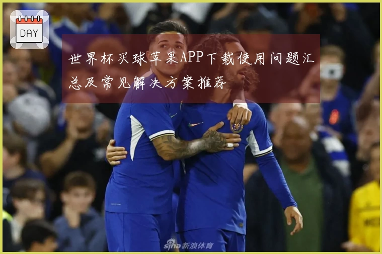 世界杯买球苹果APP下载使用问题汇总及常见解决方案推荐