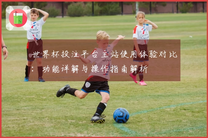 世界杯投注平台主站使用体验对比：功能详解与操作指南解析