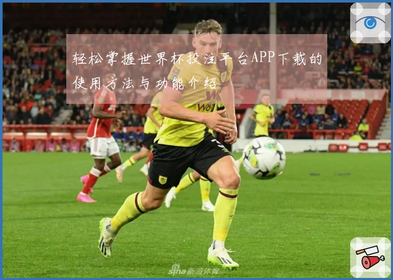 轻松掌握世界杯投注平台APP下载的使用方法与功能介绍