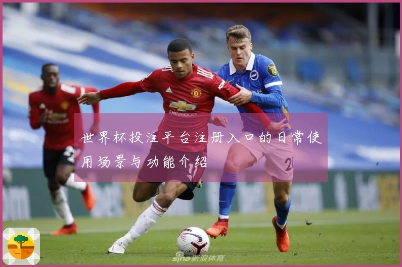 世界杯投注平台注册入口的日常使用场景与功能介绍