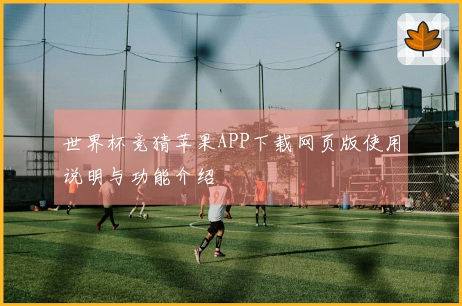 世界杯竞猜苹果APP下载网页版使用说明与功能介绍