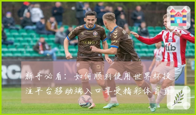 新手必看：如何顺利使用世界杯投注平台移动端入口享受精彩体育直播