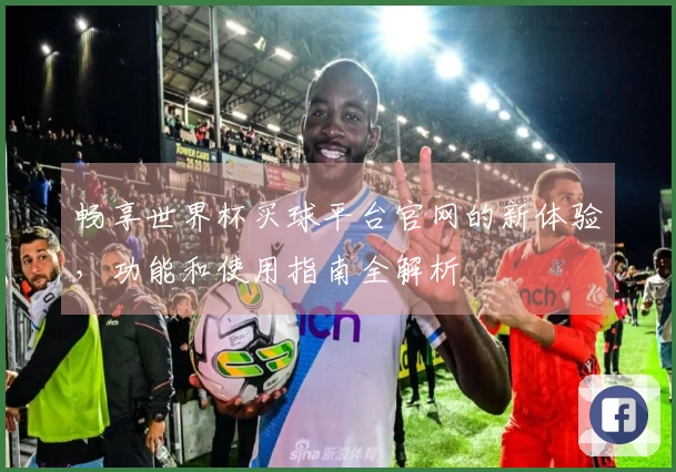 畅享世界杯买球平台官网的新体验，功能和使用指南全解析