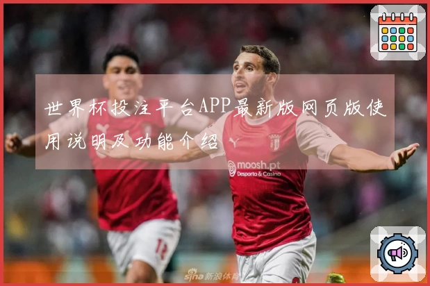 世界杯投注平台APP最新版网页版使用说明及功能介绍