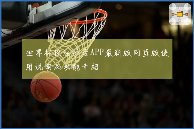 世界杯投注平台APP最新版网页版使用说明及功能介绍