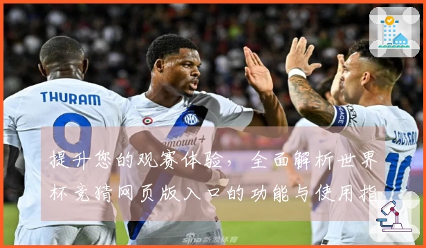 提升您的观赛体验，全面解析世界杯竞猜网页版入口的功能与使用指南